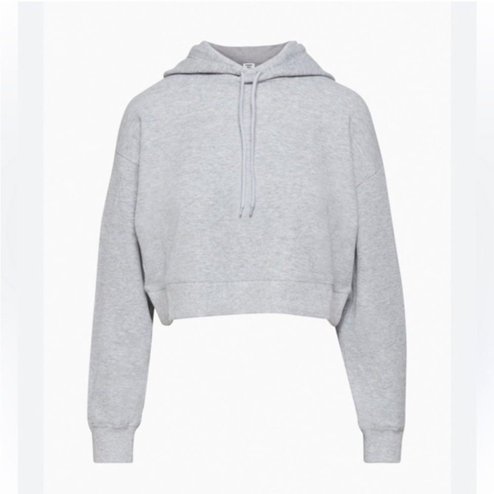 Sunday Best Aritzia Baby Waffle Relaxed Grey Cropped Hoodie
